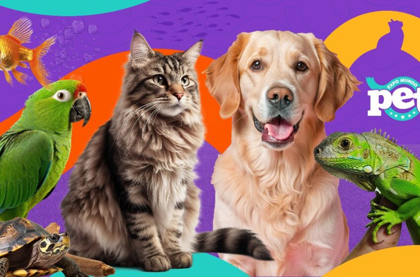  Salvador sediará o maior evento PET do Nordeste do país em 2025