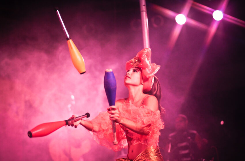  Circo Picolino realiza dia 26 de outubro uma noite em homenagem “A Mulher do Circo – Bahia”