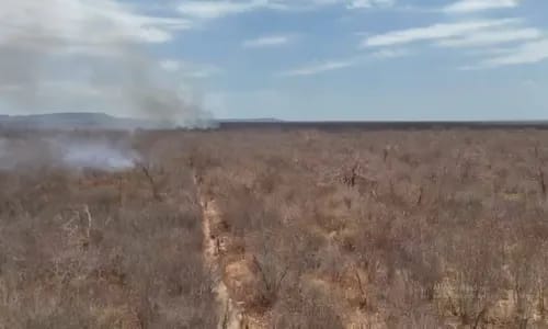  Incêndio florestal atinge mil hectares no interior da Bahia
