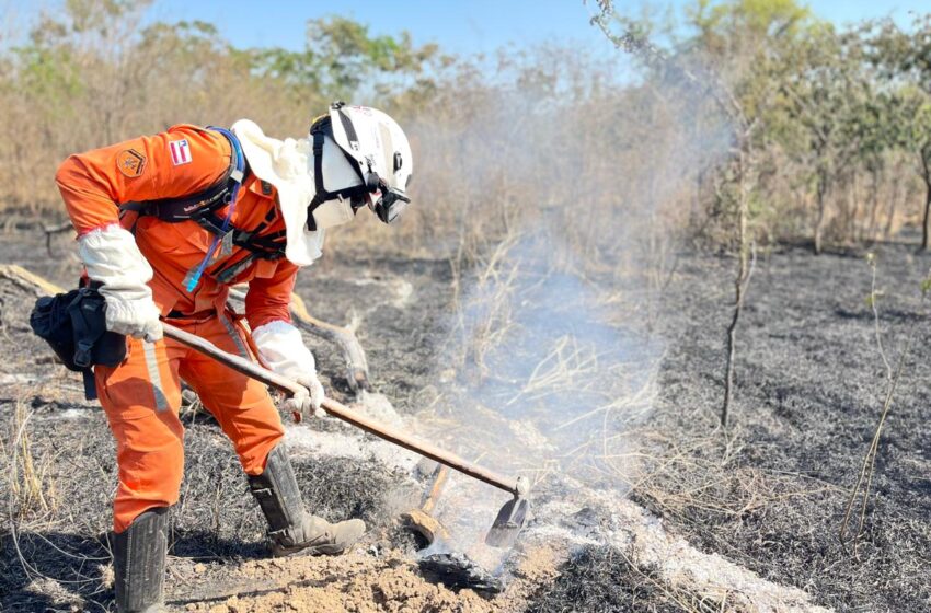  Operação Florestal do Corpo de Bombeiros debela cerca de 960 incêndios no estado