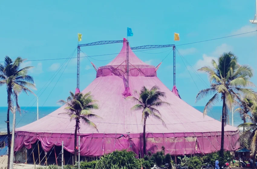  CIRCO PICOLINO abre verão com show dia 07 de dezembro do SAMBA DE PRETAS