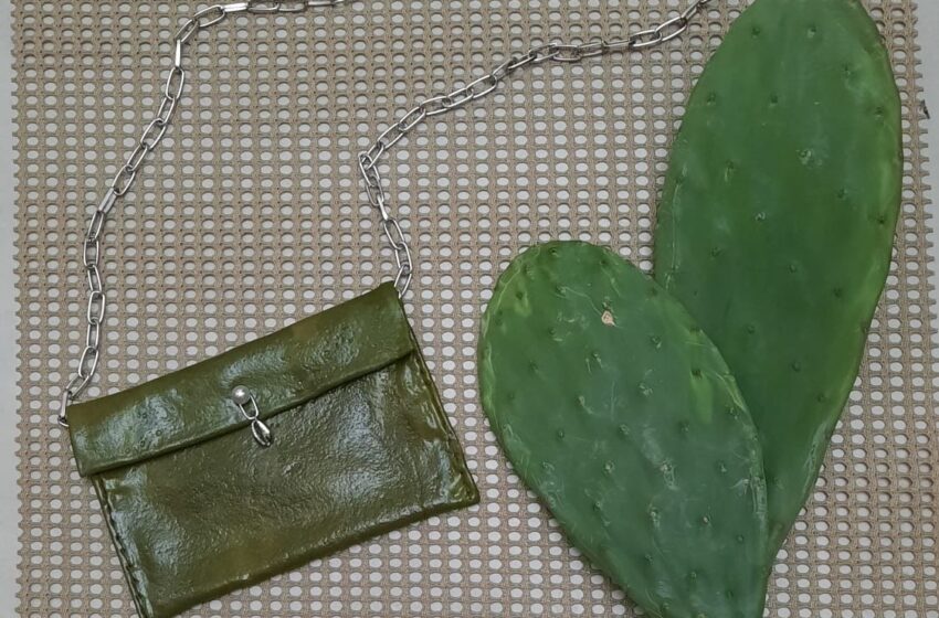  Projetos desenvolvidos por estudantes de escolas estaduais apostam em inovação tecnológica com foco na sustentabilidade