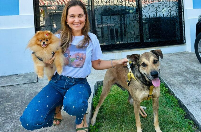  Conscientização do combate ao abandono e os maus-tratos contra animais ganha destaque na Campanha do Dezembro Verde