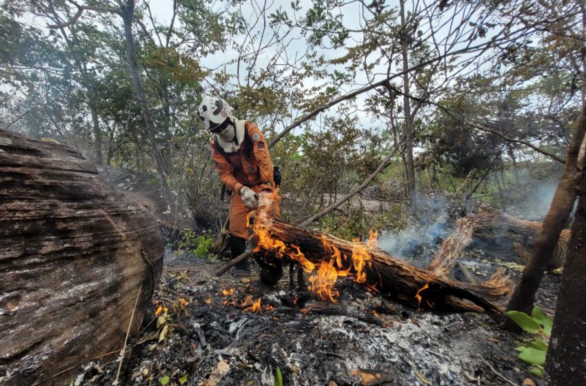  Bombeiros militares extinguiram incêndios florestais em Mirangaba