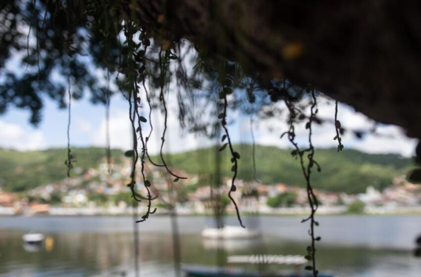 CachoeiraDoc: festival de documentários na Bahia oferece sessões gratuitas e ampla programação educativa