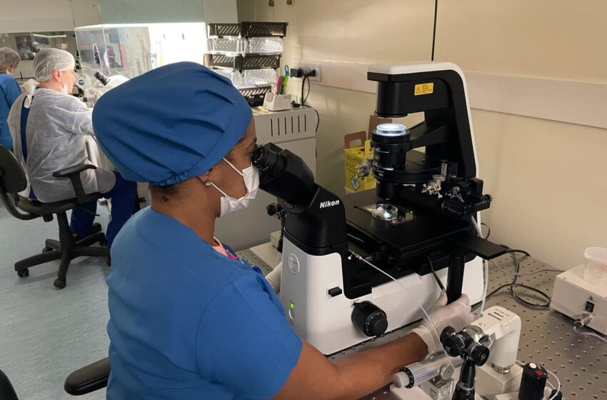  Taxas de sucesso em Fertilização In Vitro são de 60%, inclusive com embriões congelados, destacando a preservação da fertilidade