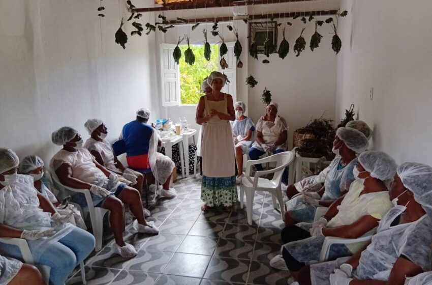  Comunidade de Terreiro da Bahia apresenta cartilha ‘O Saber Ancestral e as Plantas Medicinais’ com suporte da Bracell