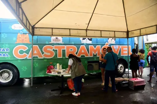  Castramóvel disponibiliza castração gratuita de cães e gatos na Avenida Paralela