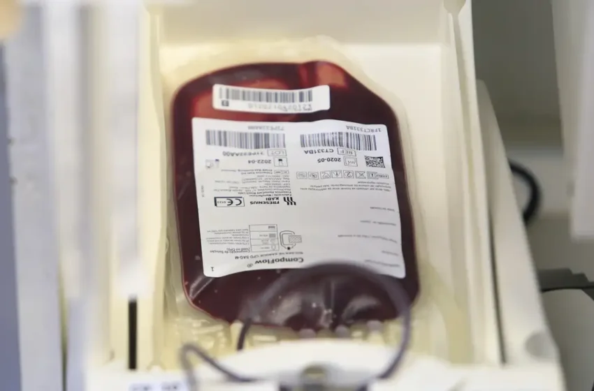  Fundação Pró-Sangue alerta sobre estoques reduzidos e reforça chamado para doações