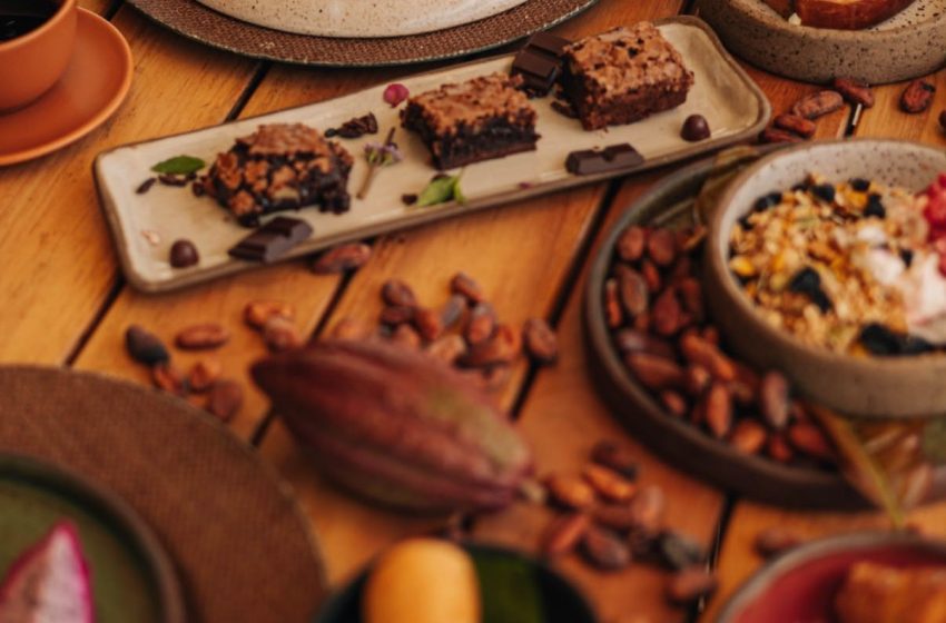  Restaurante em Itacaré inova ao incluir chocolate em pratos salgados e anuncia novo chef